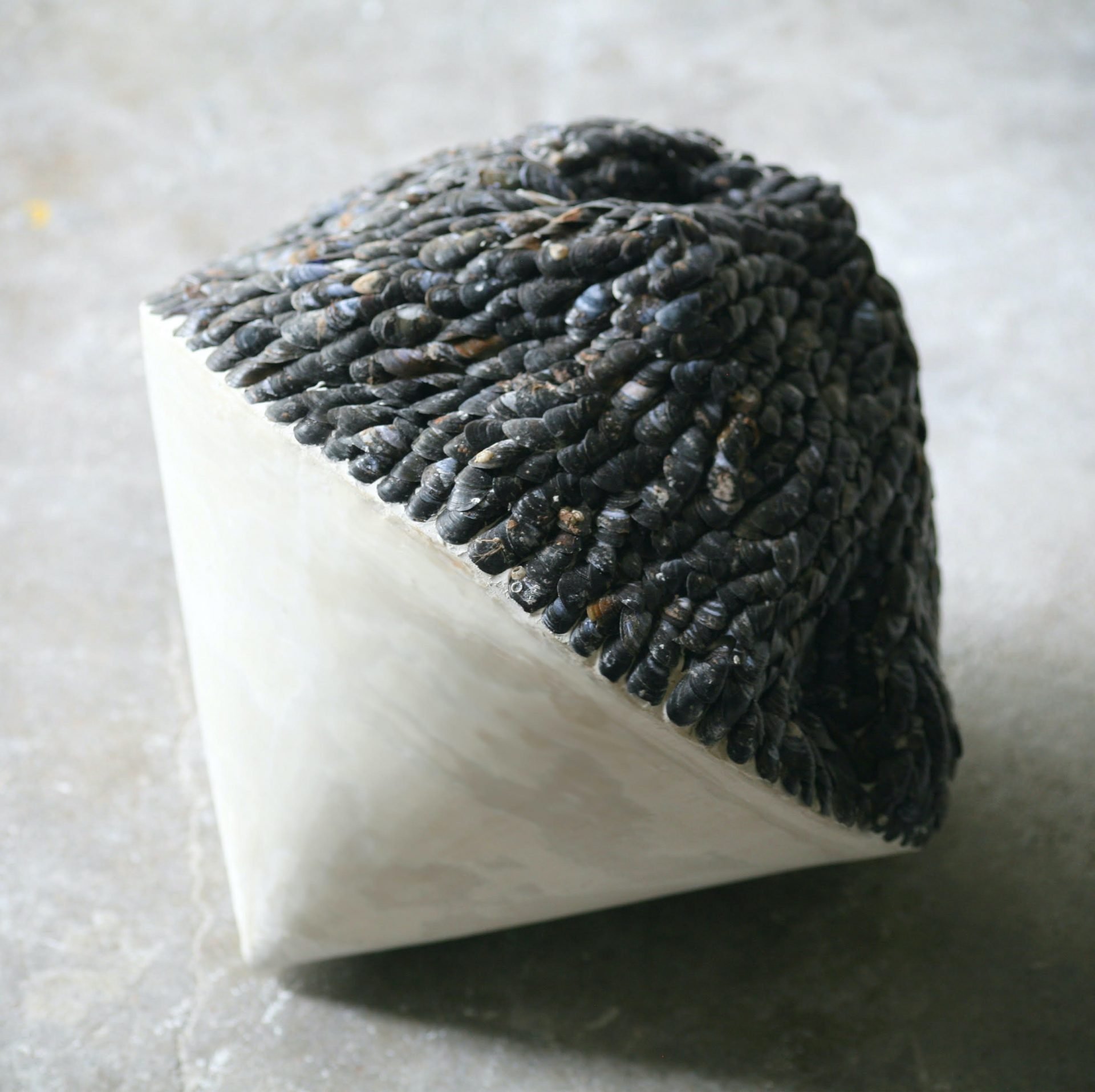 Stephanie Tudor Sculpture with mussels