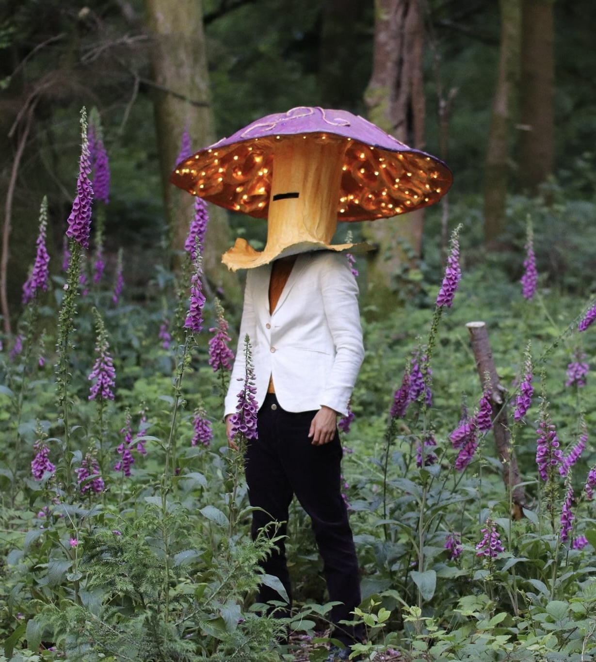 Ruth Pelly Mushroom Head